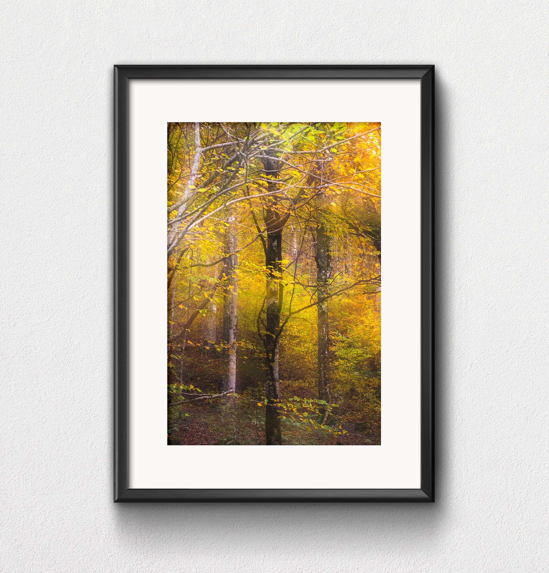 Nature 2