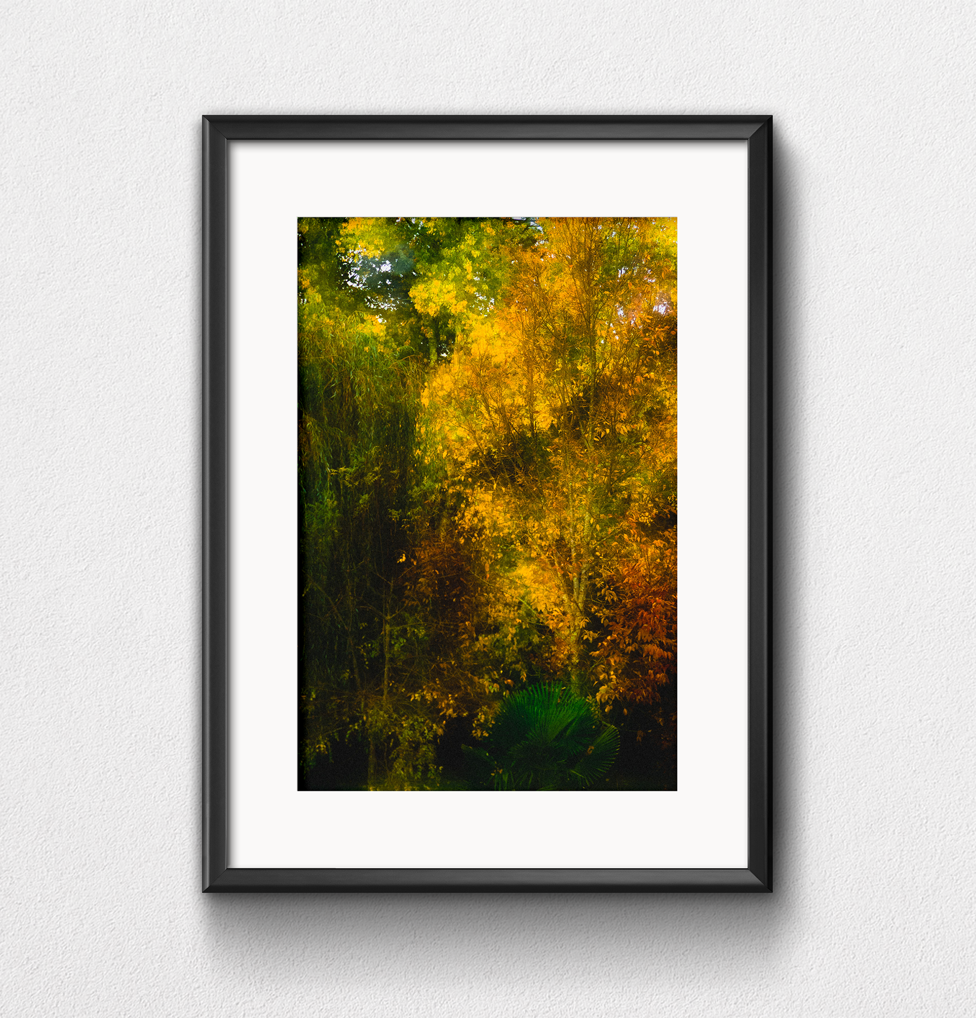 Nature 4