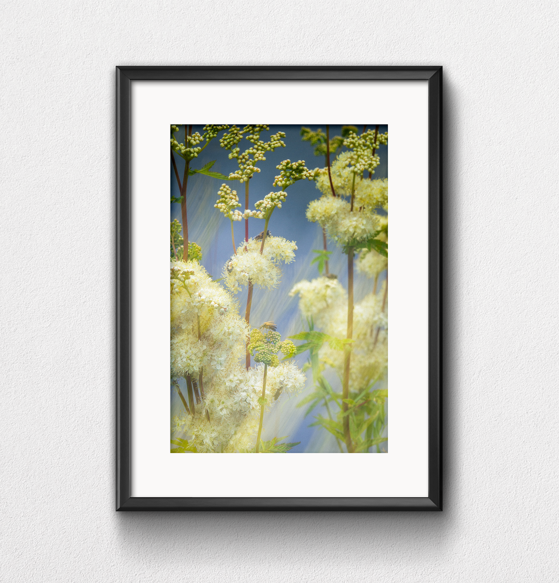Nature 1