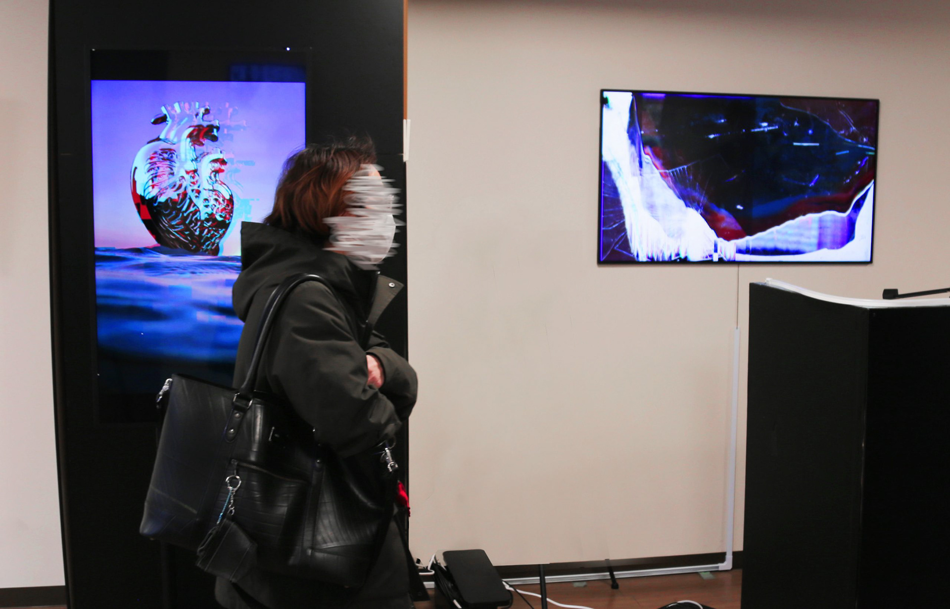 Protocol Decay, Japan