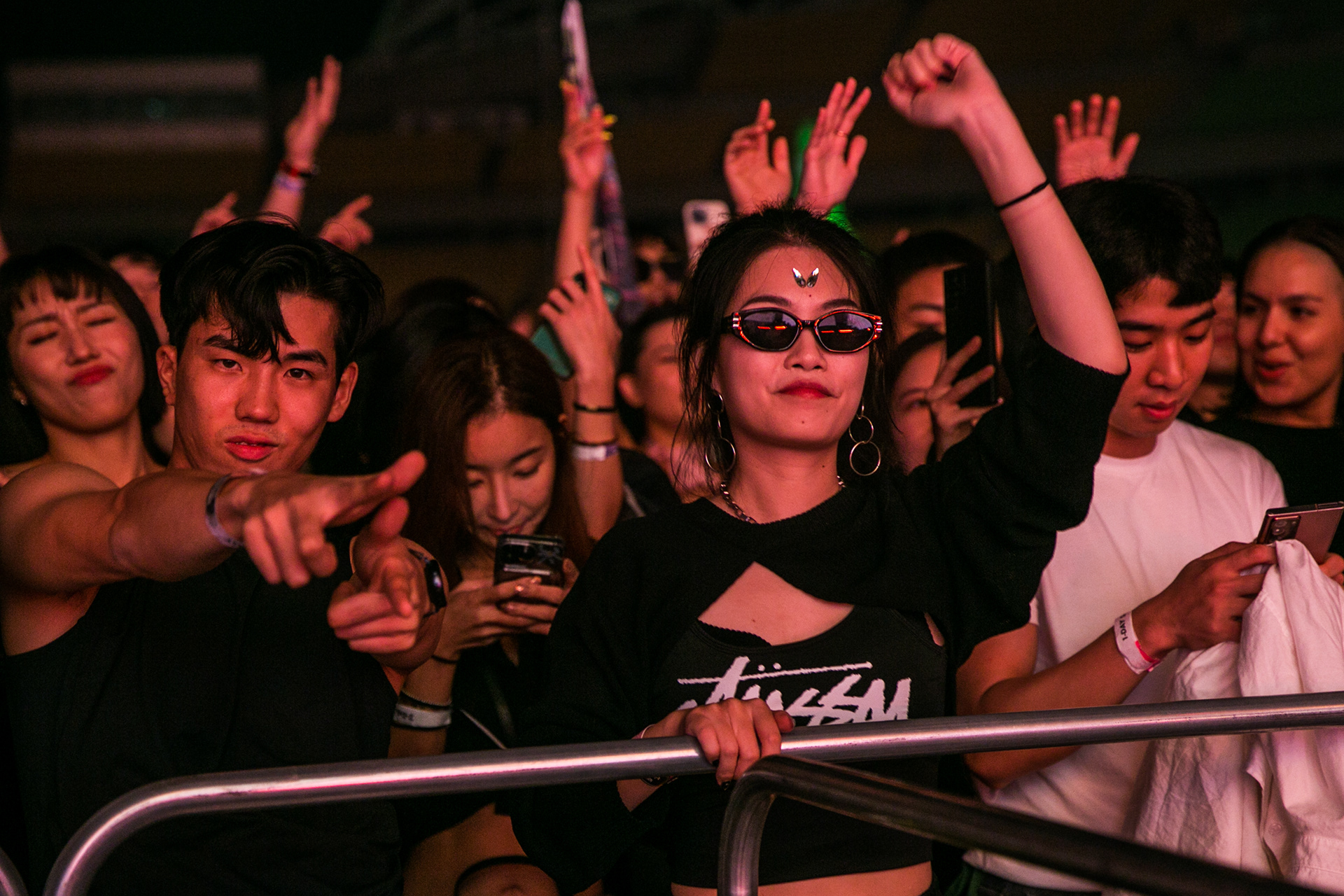 벡터 페스티벌