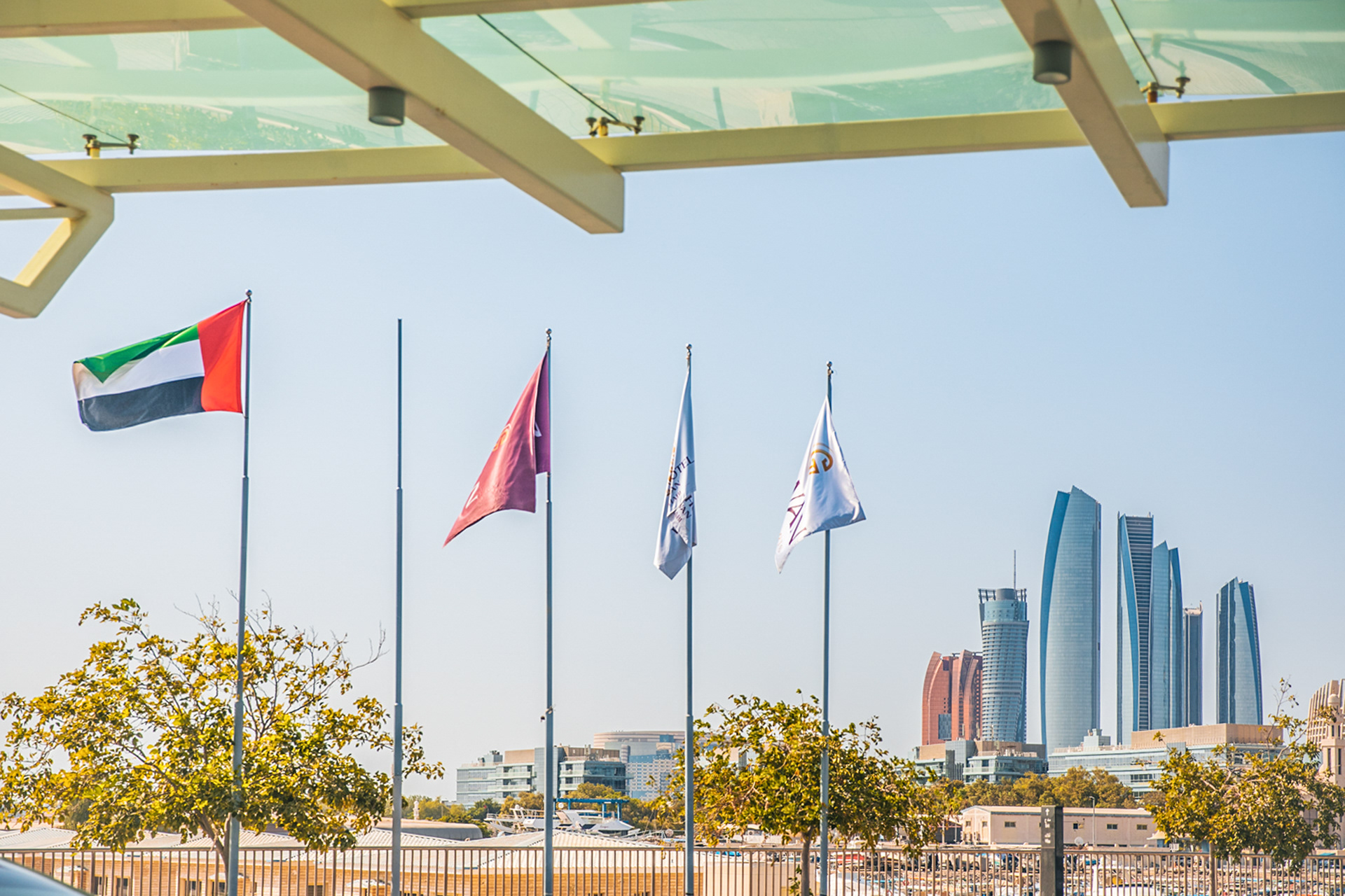 Boehringer in Dubai 2024