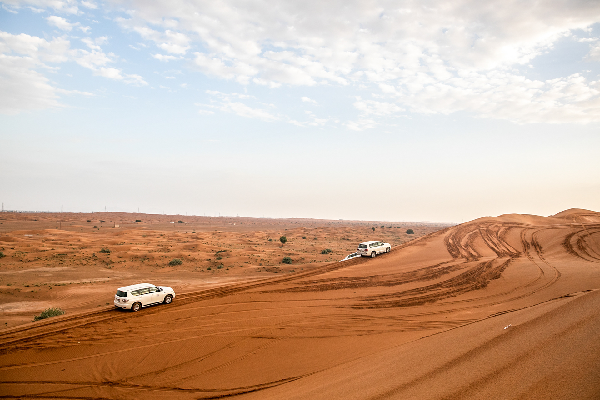 Boehringer in Dubai 2024