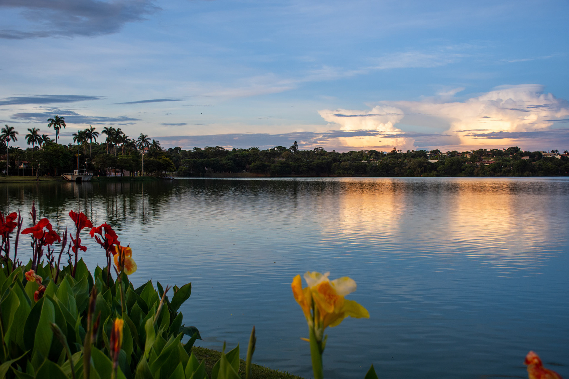 Belo Horizonte (MG) | Foto: Felipe Reis/Verum Fotojornalismo