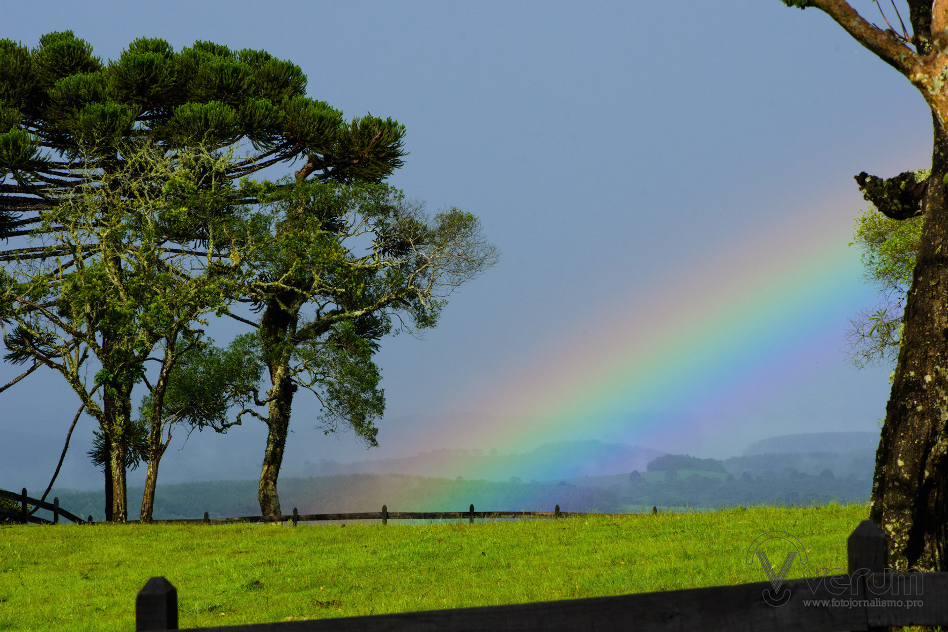 Campo Belo do Sul (SC) | Foto: Felipe Reis/Verum Fotojornalismo
