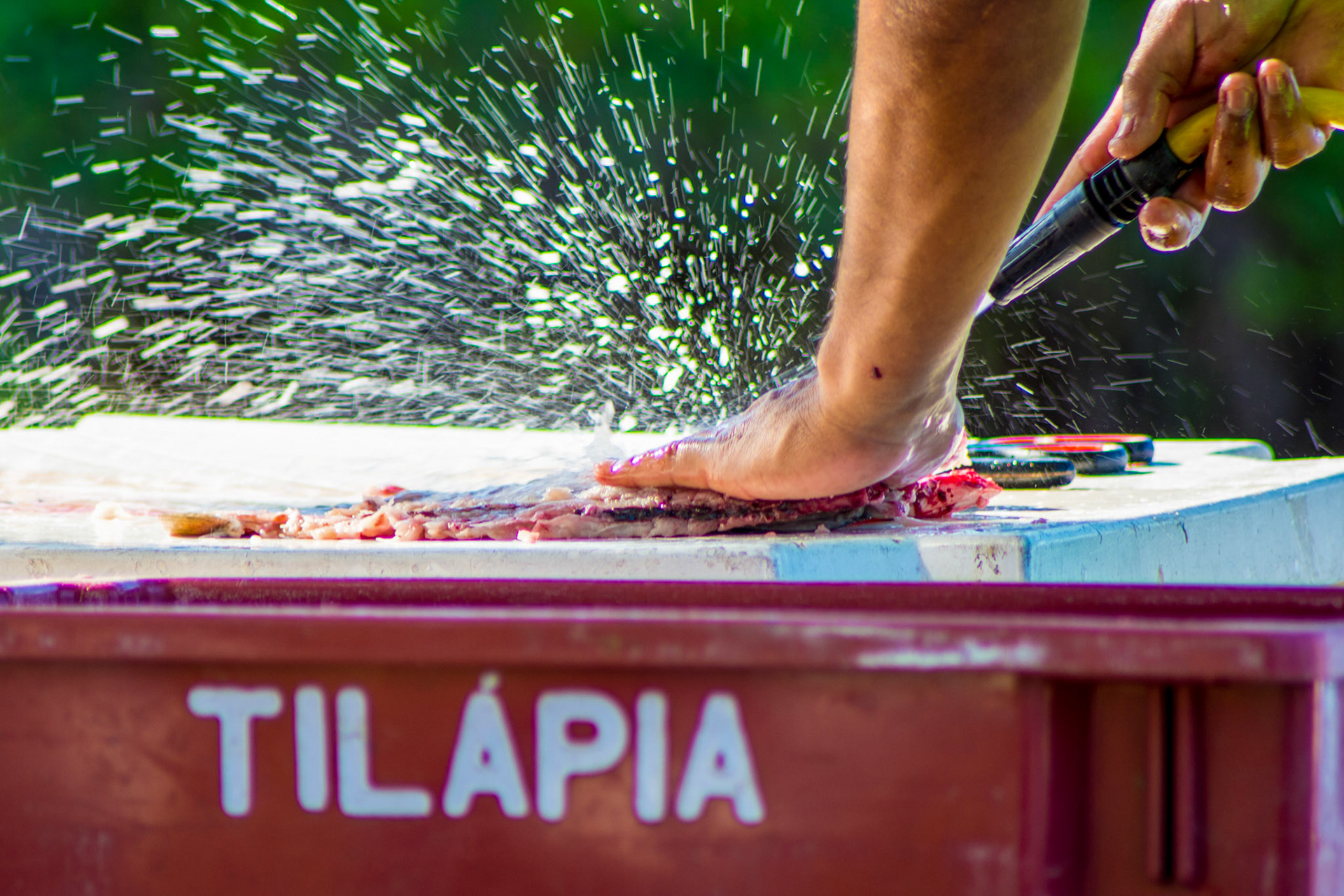 Florianópolis (SC) | Foto: Felipe Reis / Verum Fotografia