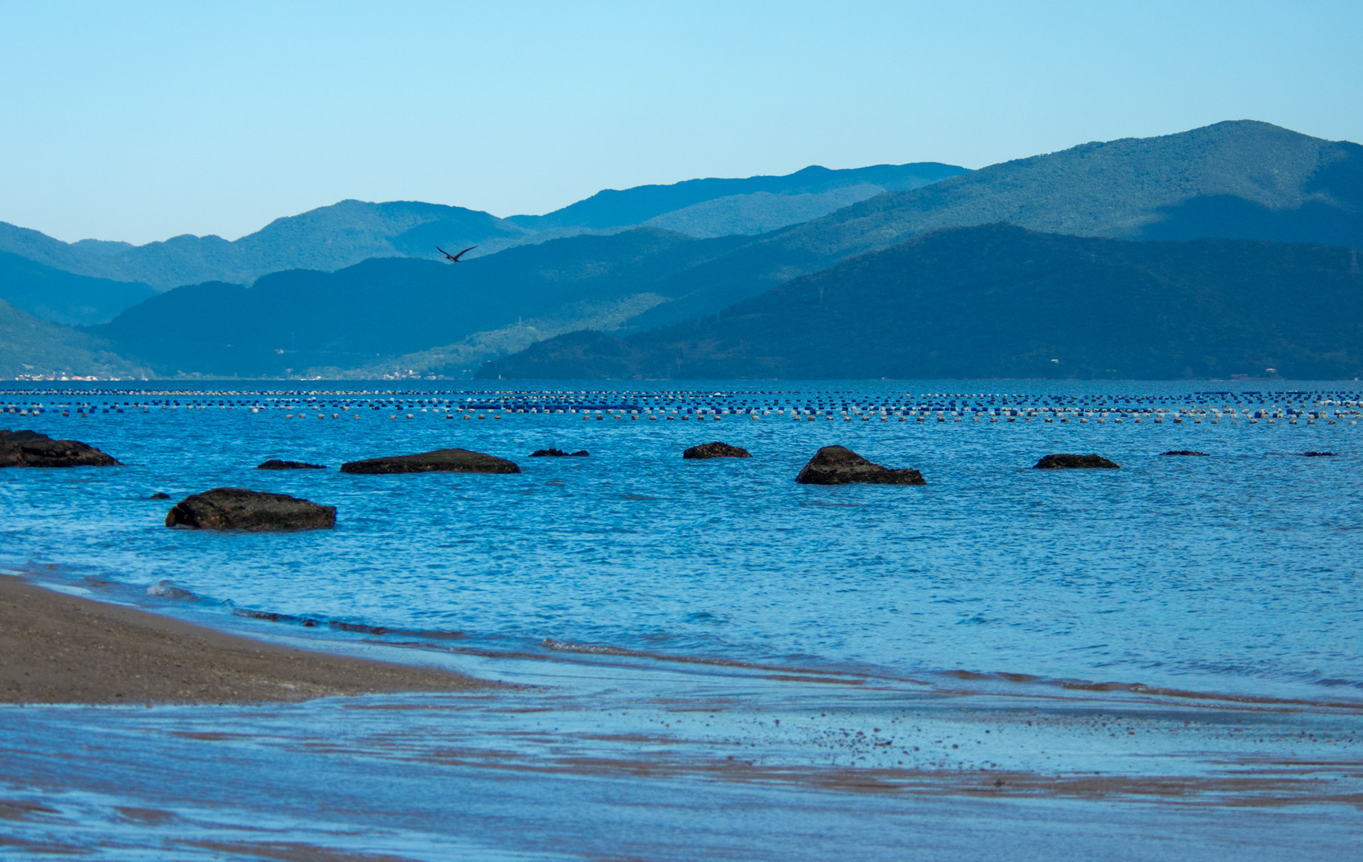 Florianópolis (SC) | Foto: Felipe Reis / Verum Fotografia