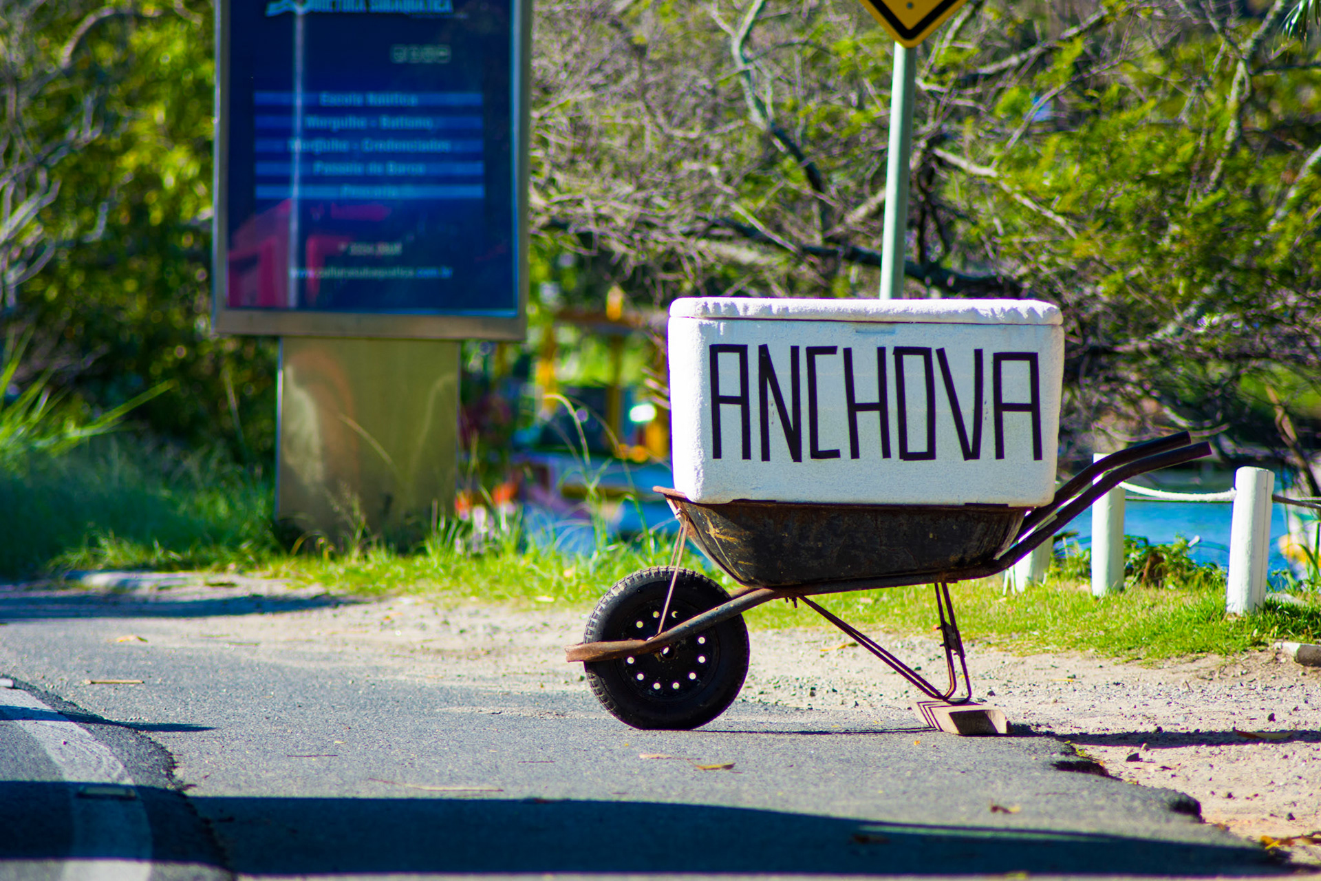 Florianópolis (SC) | Foto: Felipe Reis / Verum Fotografia