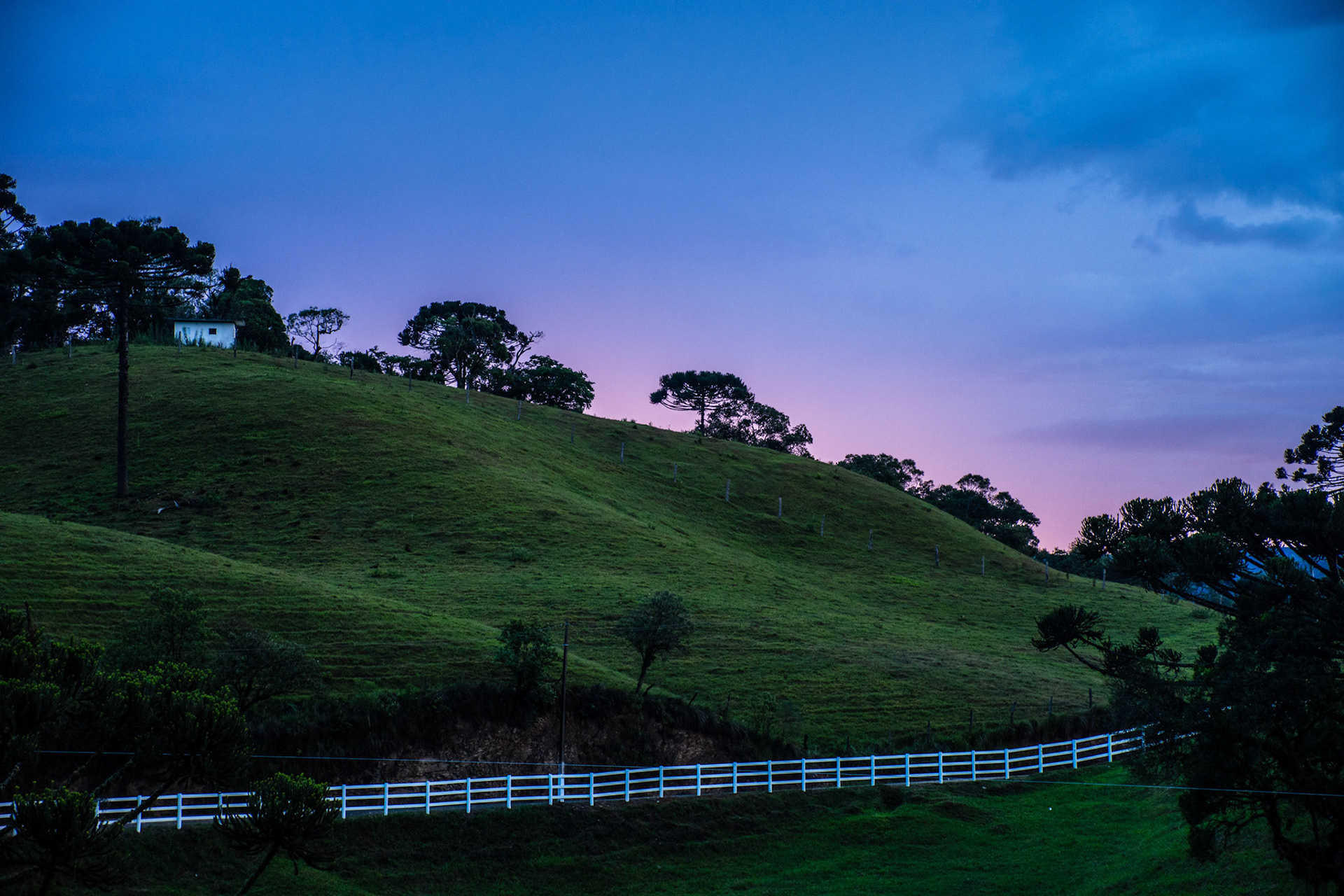 Mato Francês, Rancho Queimado (SC) | Foto: Felipe Reis/Verum Fotojornalismo