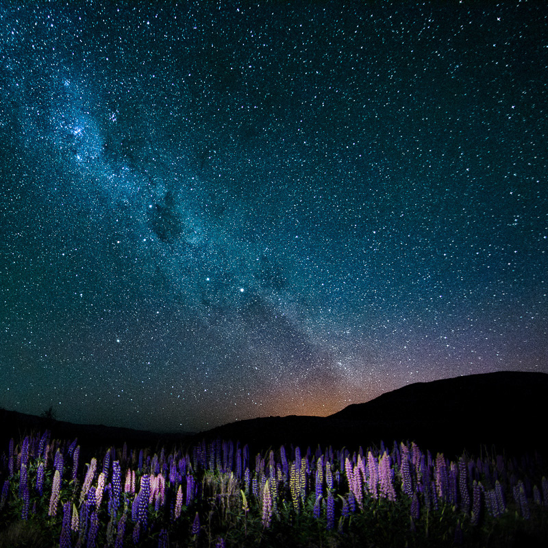 Lake Tekapo -New Zealand