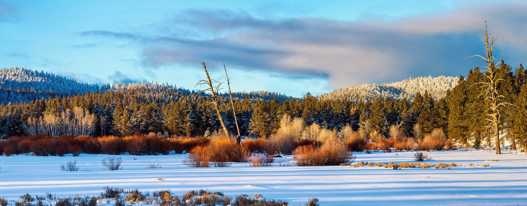 winter solstice at allen creek