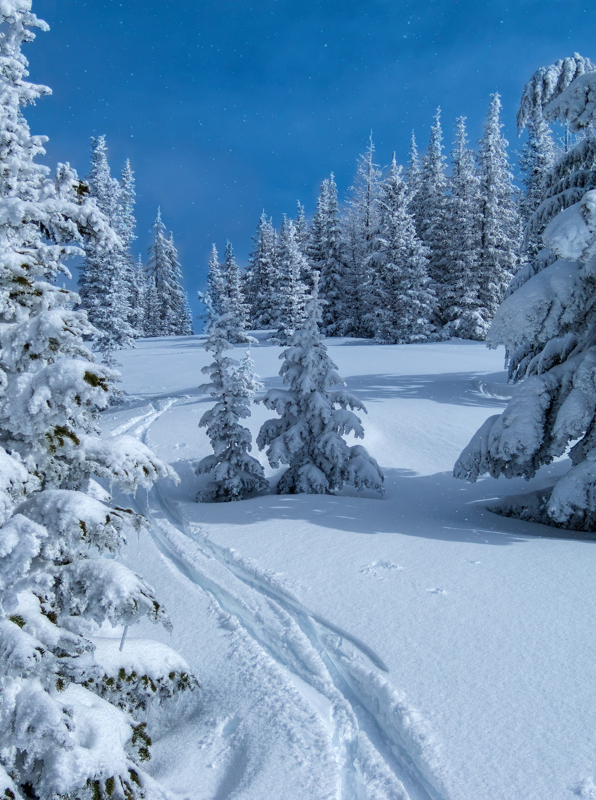 al piste