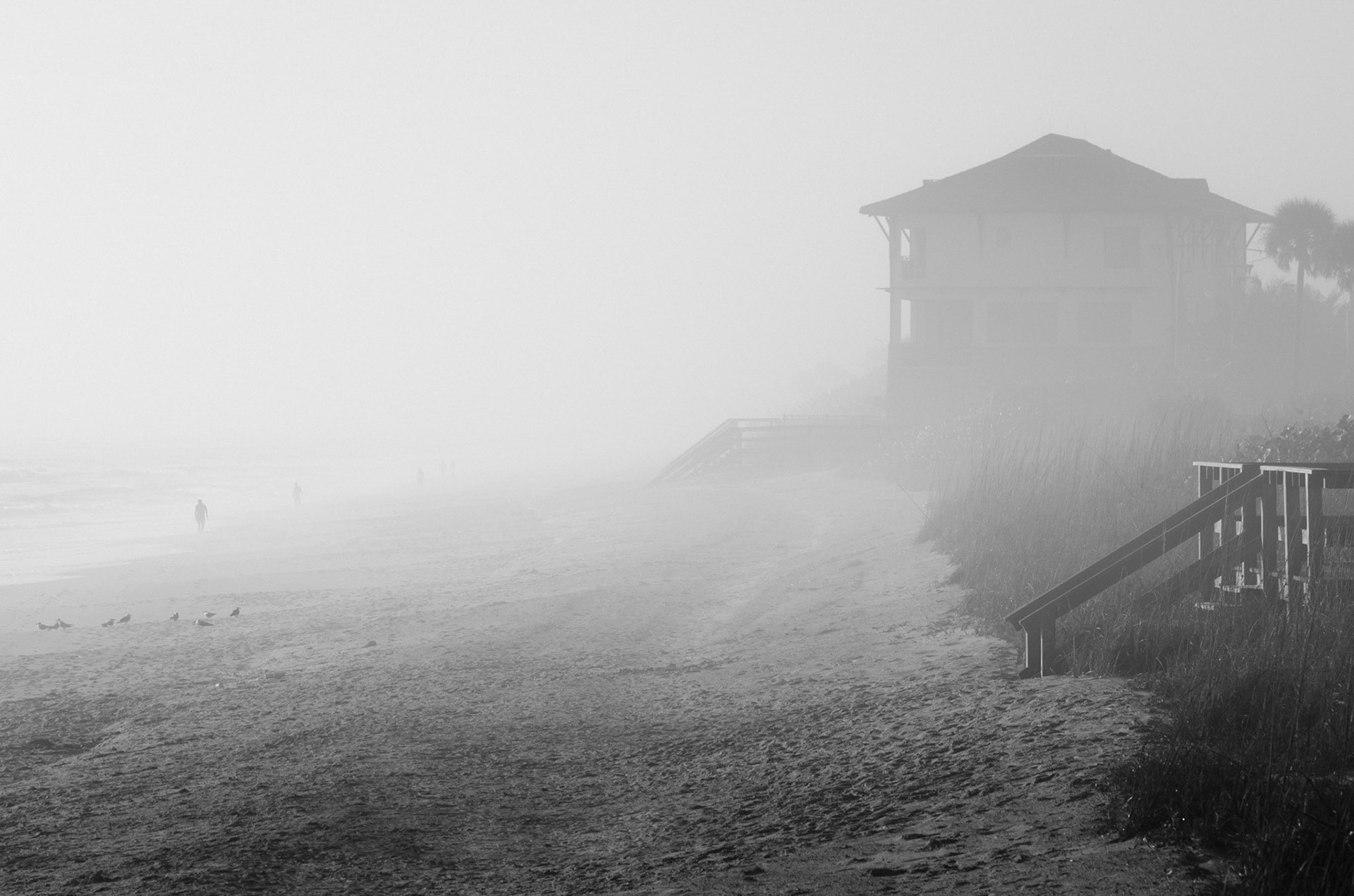 Morning fog rolls in on Paradise Beach