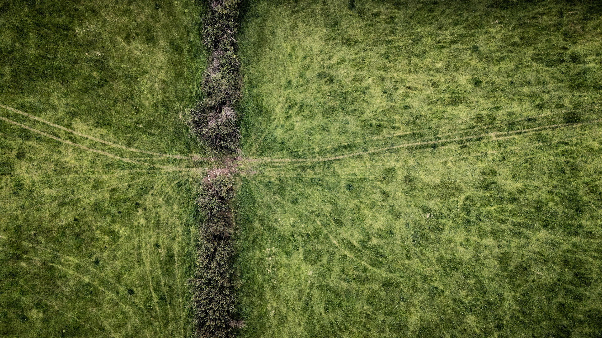 Cattle Pastures | Knockaunroe, Co. Clare