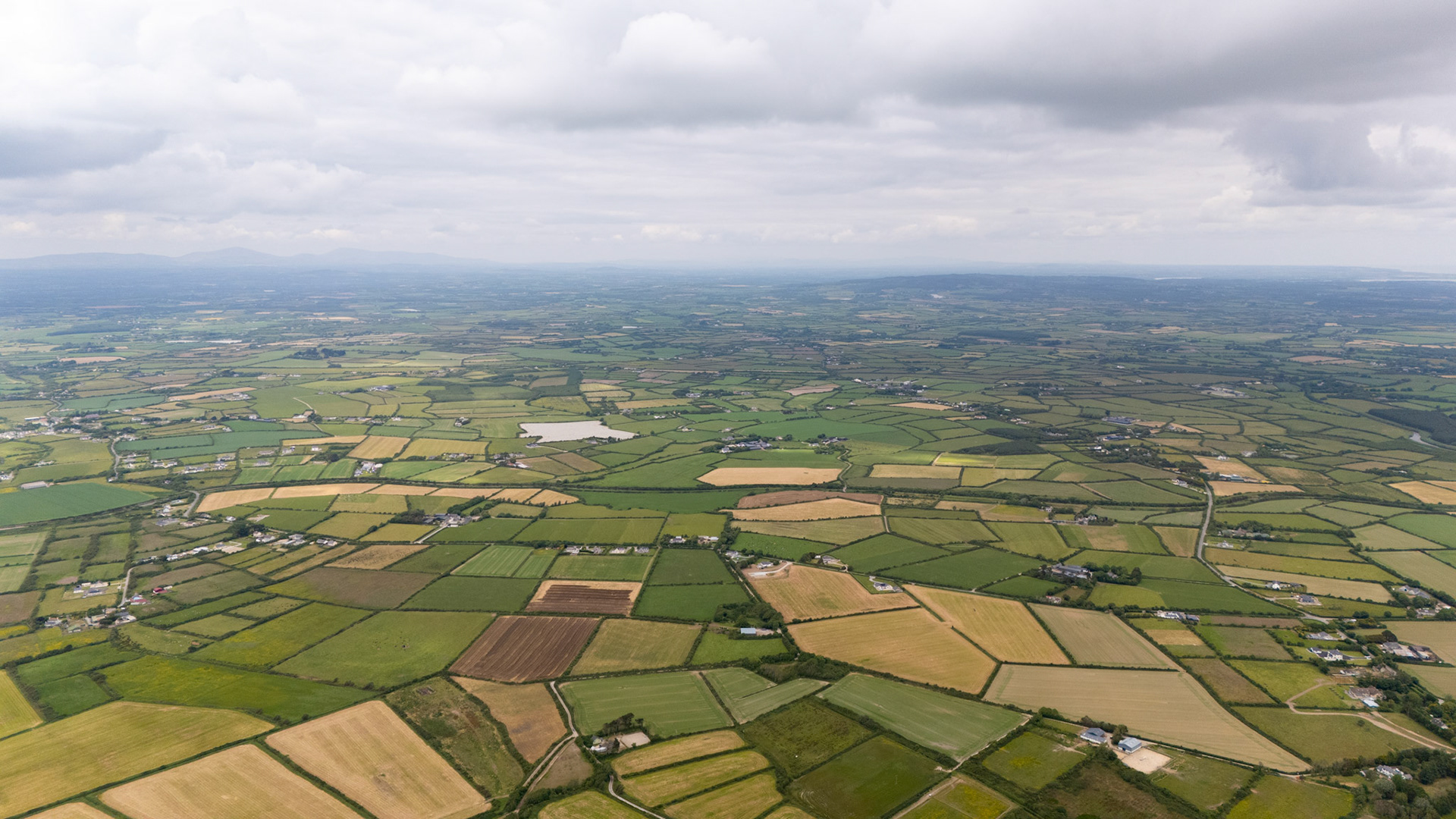Rural Wexford | Co. Wexford