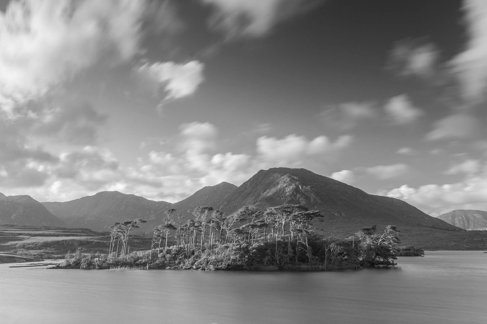 Pine Island | Connemara, Co. Galway