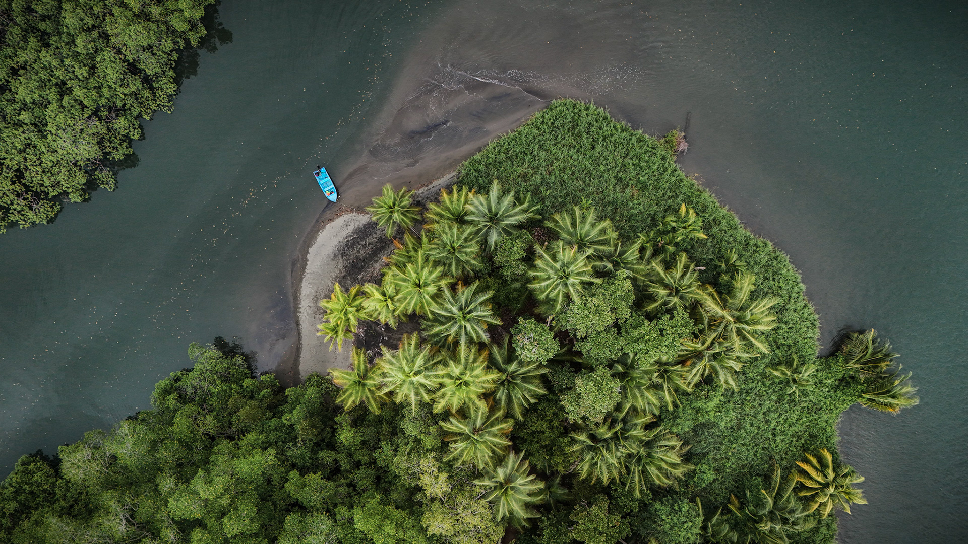 Isla Violín | Sierpe Estuary, Costa Rica