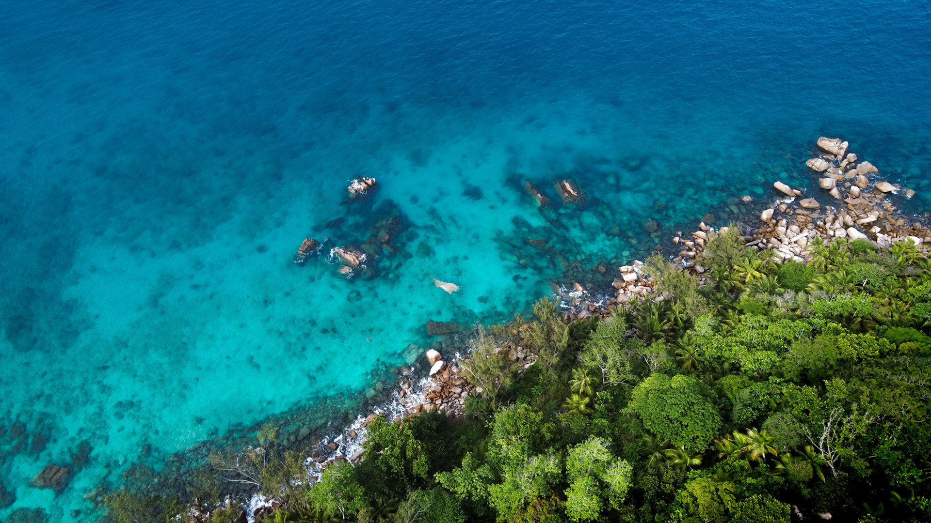 Anse La Blague | Praslin, Seychelles