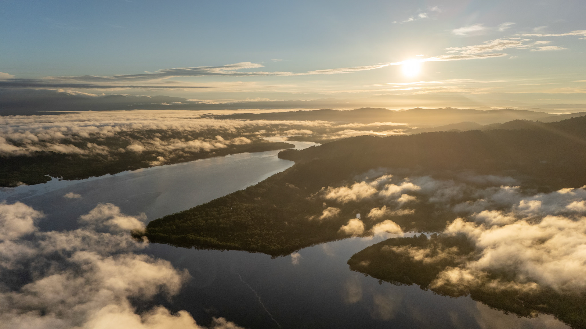 Sierpe Estuary | Isla Violín, Costa Rica