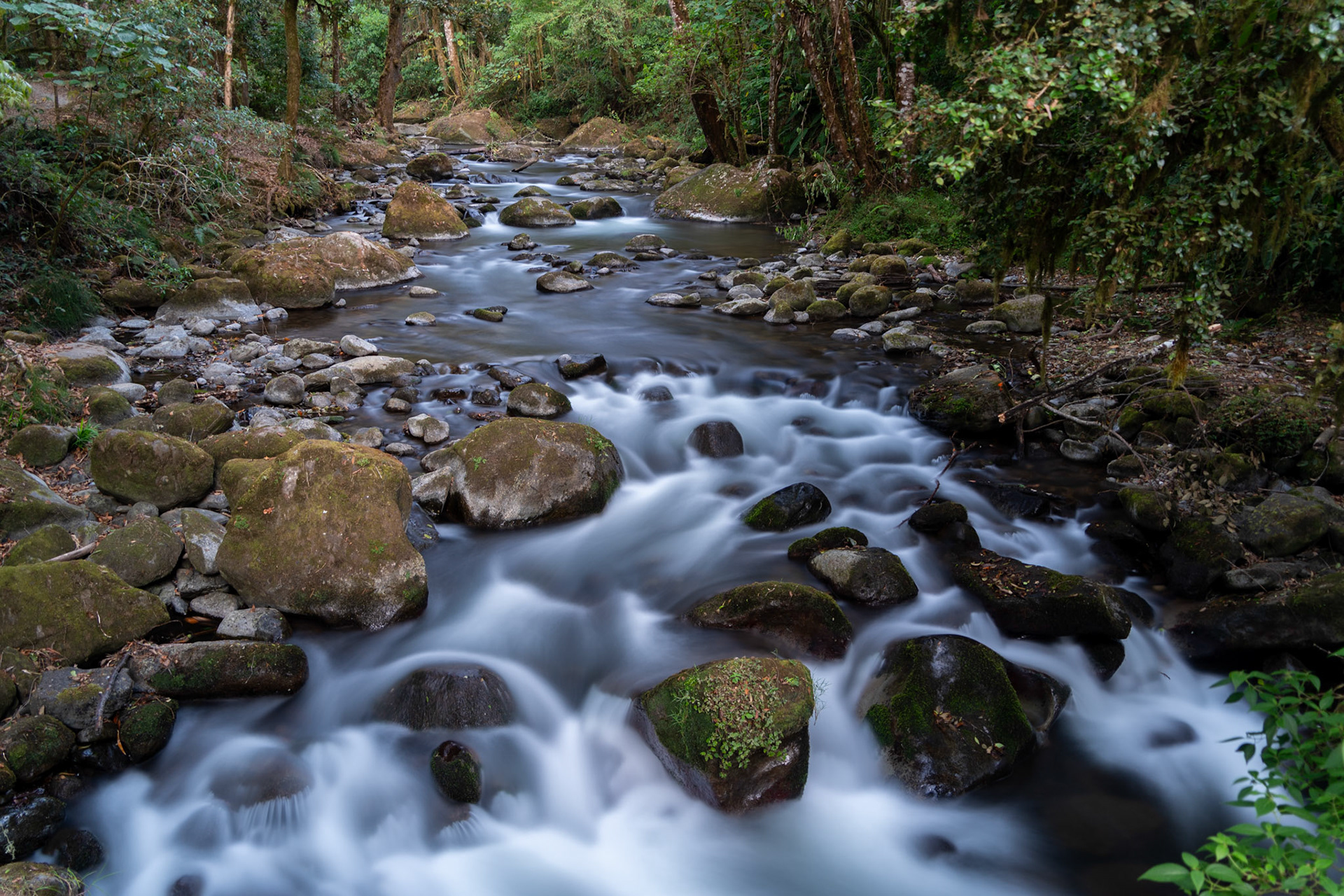 Río Savegre | San Gerardo de Dota