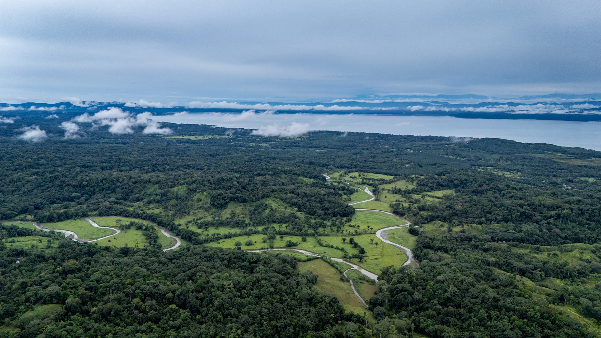 Río Nuevo | Osa Peninsula, Costa Rica