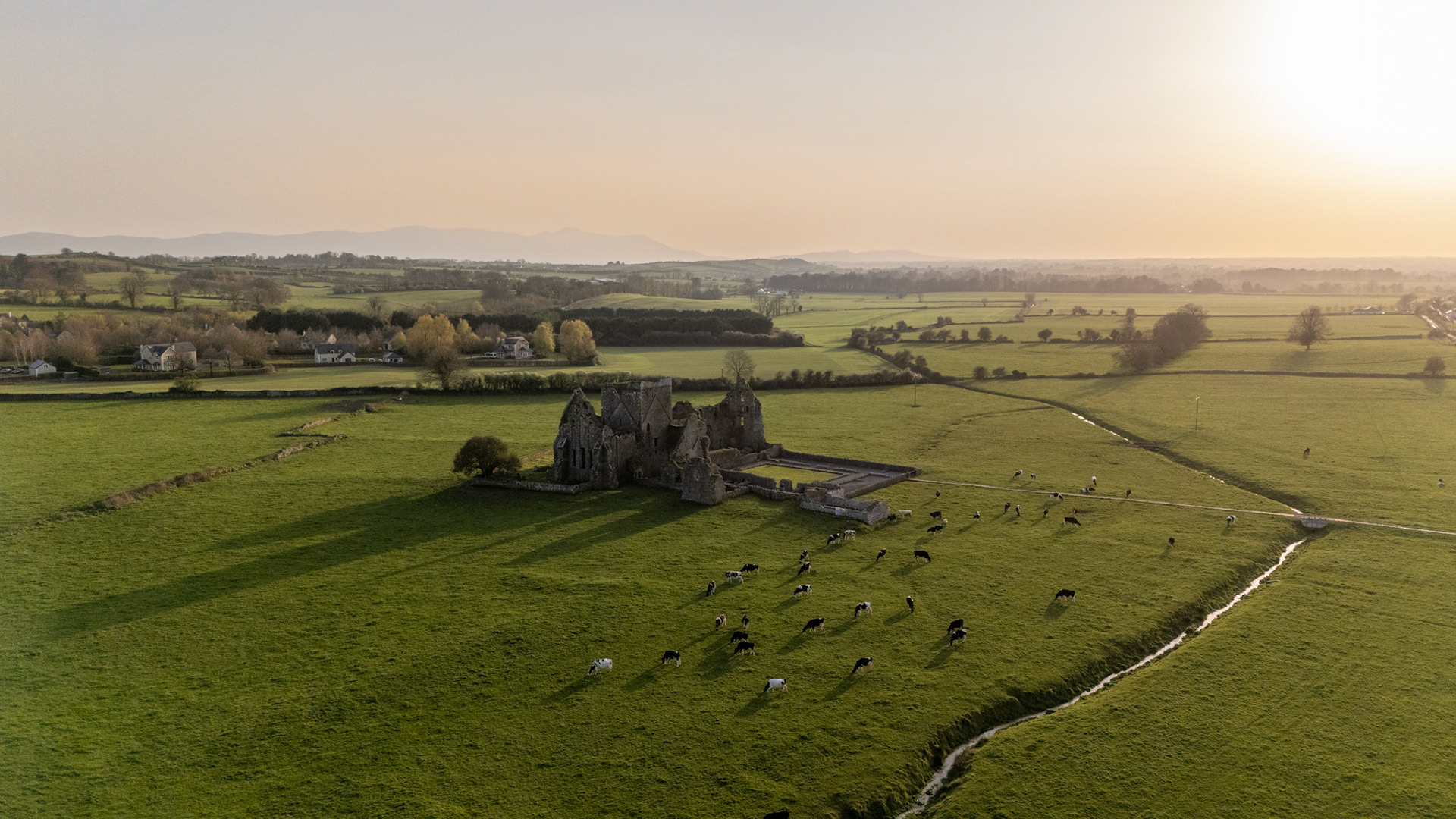 Hore Abbey | Cashel, Co. Tipperary