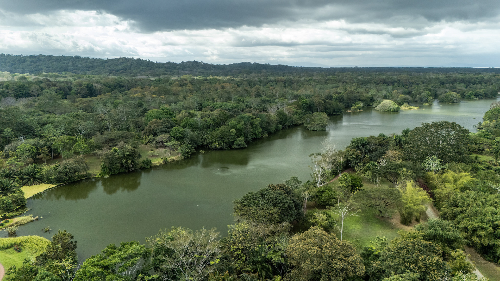 Río Plantanares | Osa Peninsula, Costa Rica