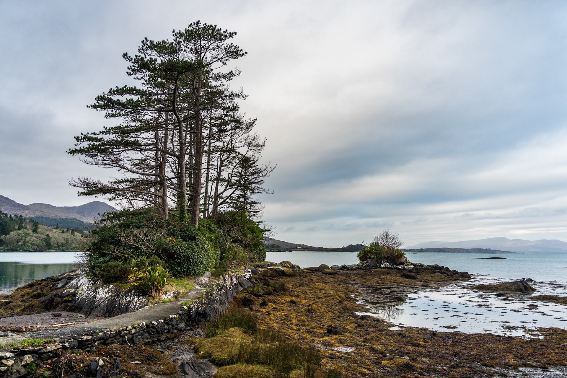 Derreen Gardens | Lauragh, Co. Kerry