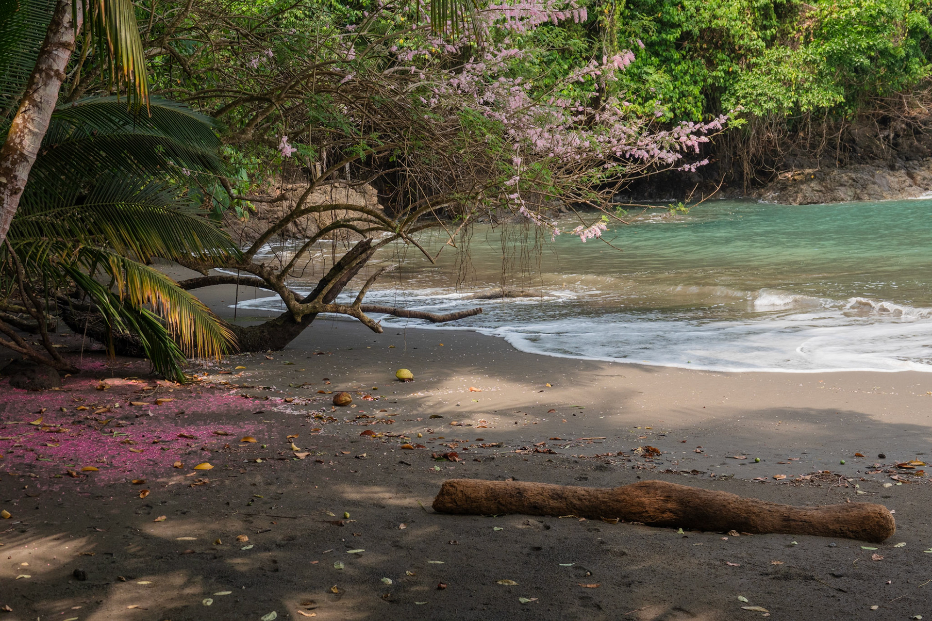 Unknown Beach | Osa Peninsula