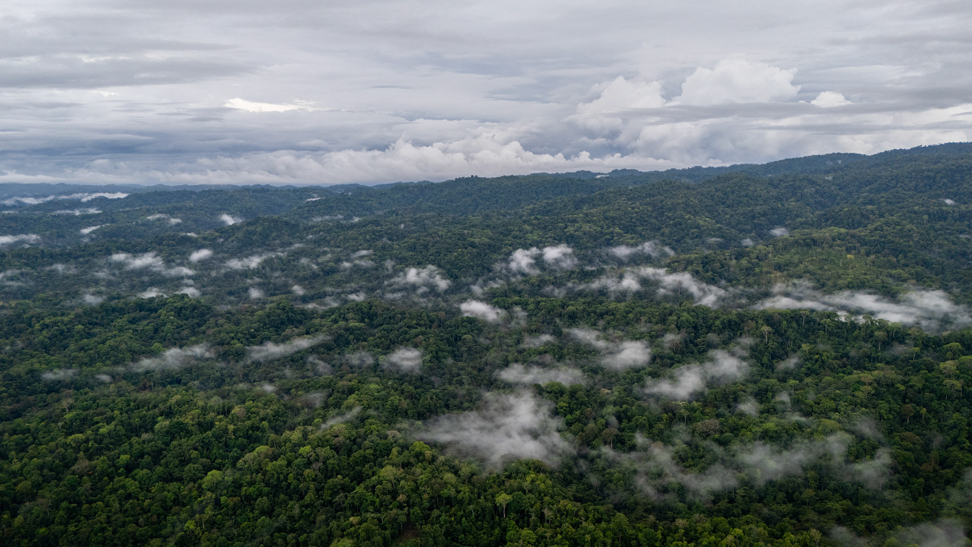 Corcovado National Park | Osa Peninsula, Costa Rica