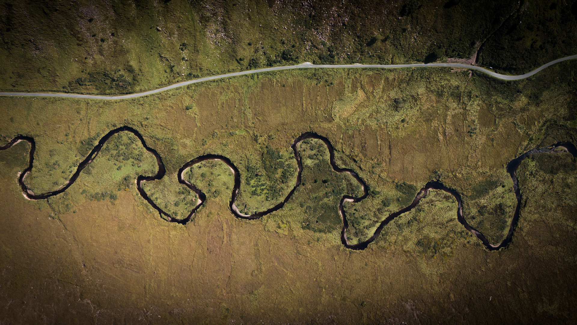 Gleanteenassig Woods | Dingle Peninsula, Co. Kerry