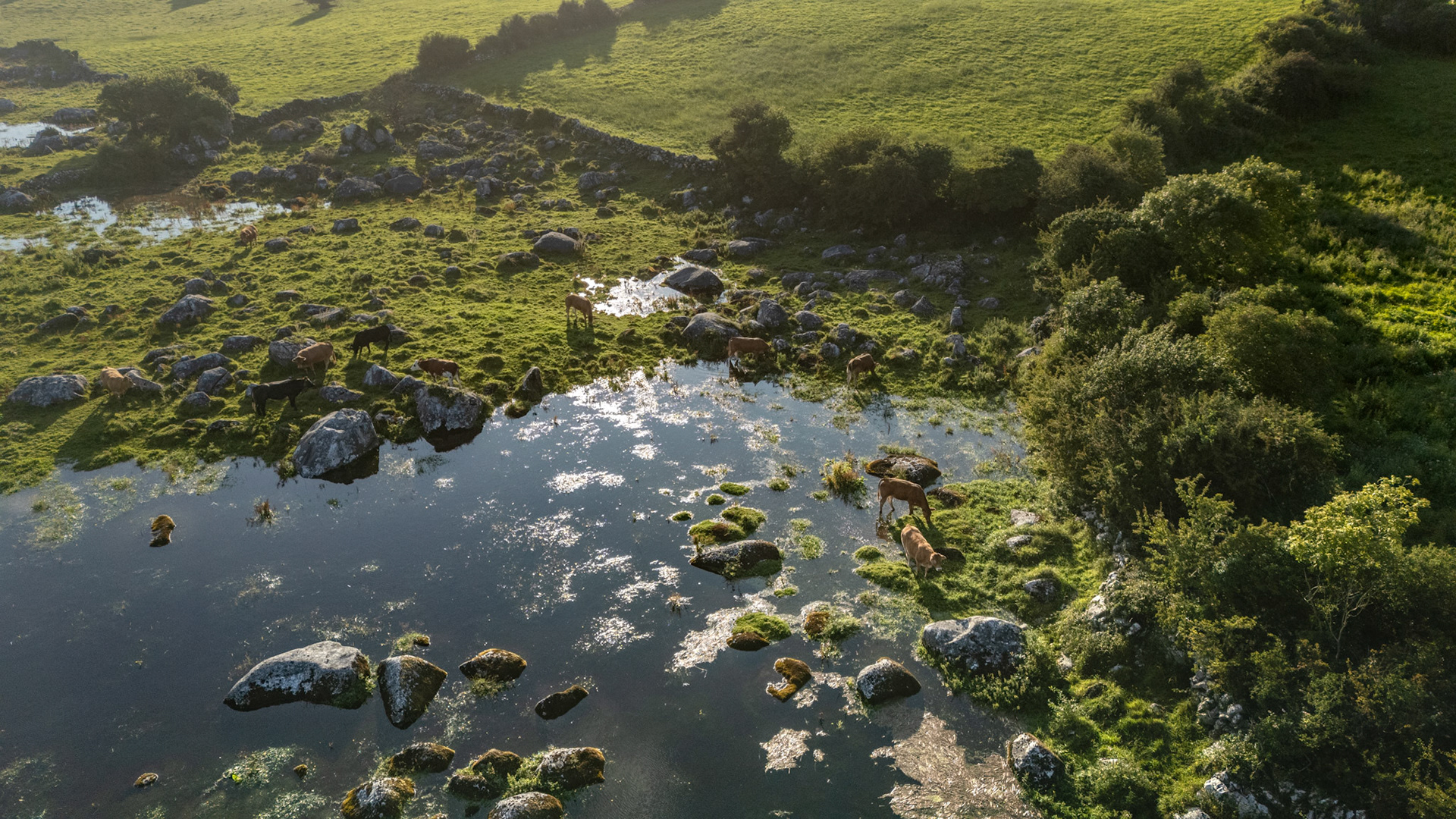 Lough Atedaun | Corofin, Co. Clare