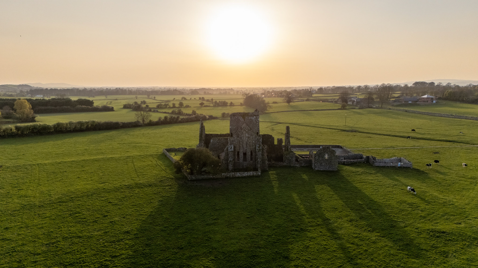 Hore Abbey | Cashel, Co. Tipperary