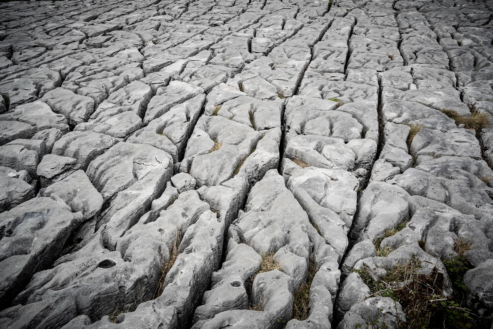 Burren National Park | Co. Clare