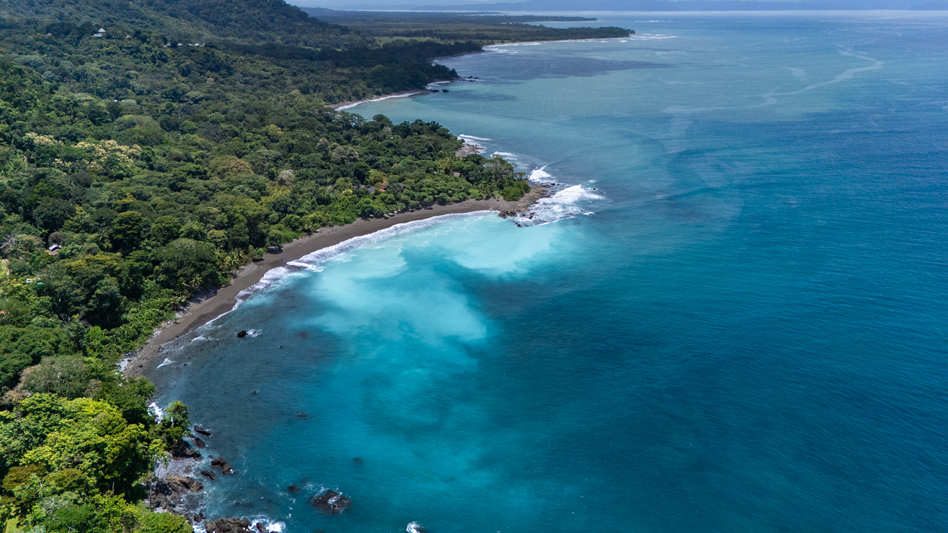 Playa Matapalo | Osa Peninsula, Costa Rica
