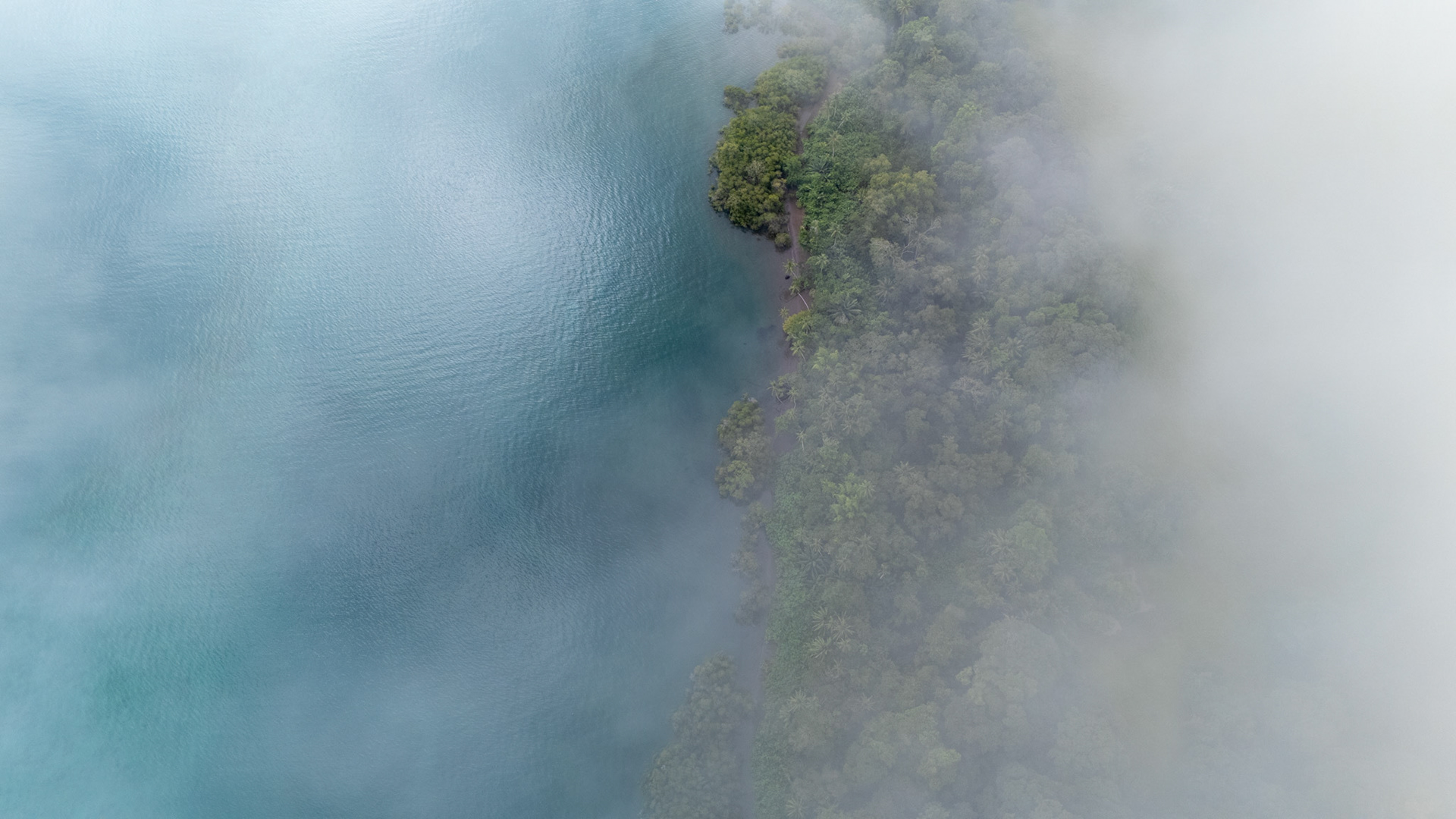 Playa Sándalo | Osa Peninsula, Costa Rica
