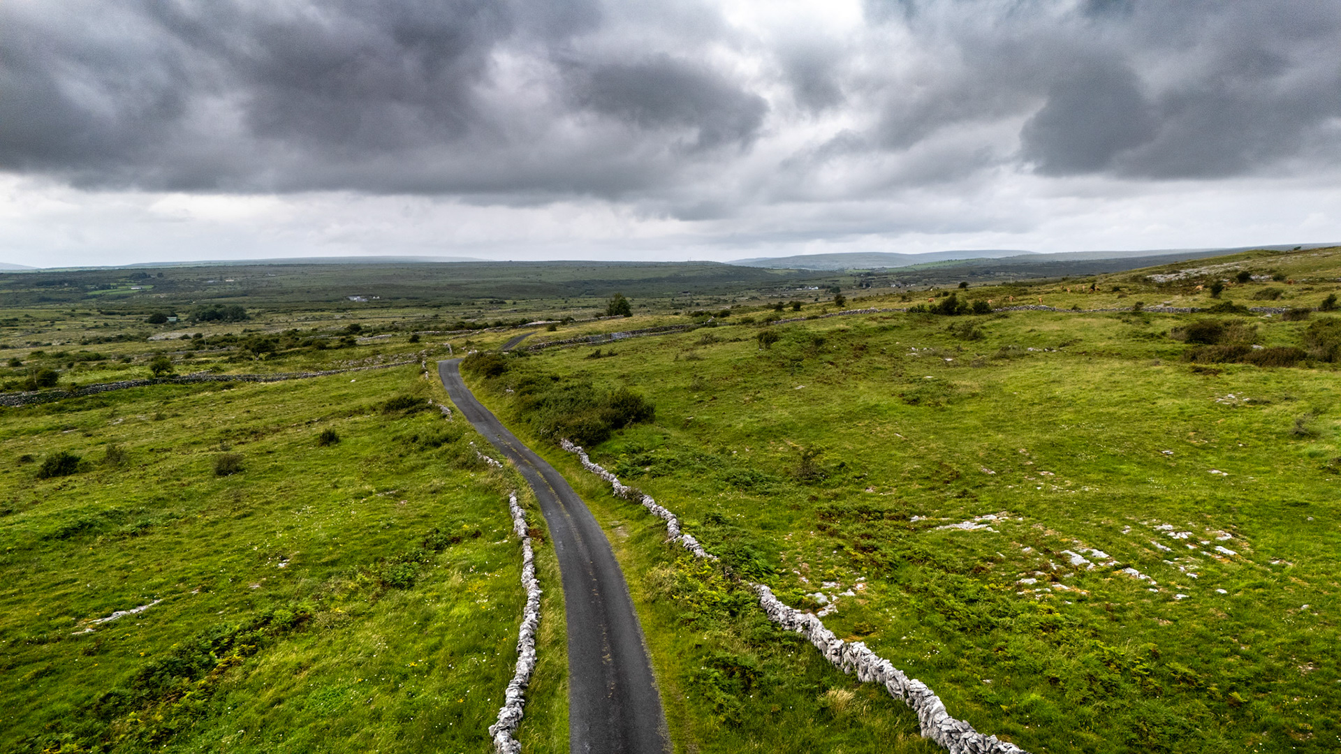 Burren National Park | Poulcoin, Co. Clare