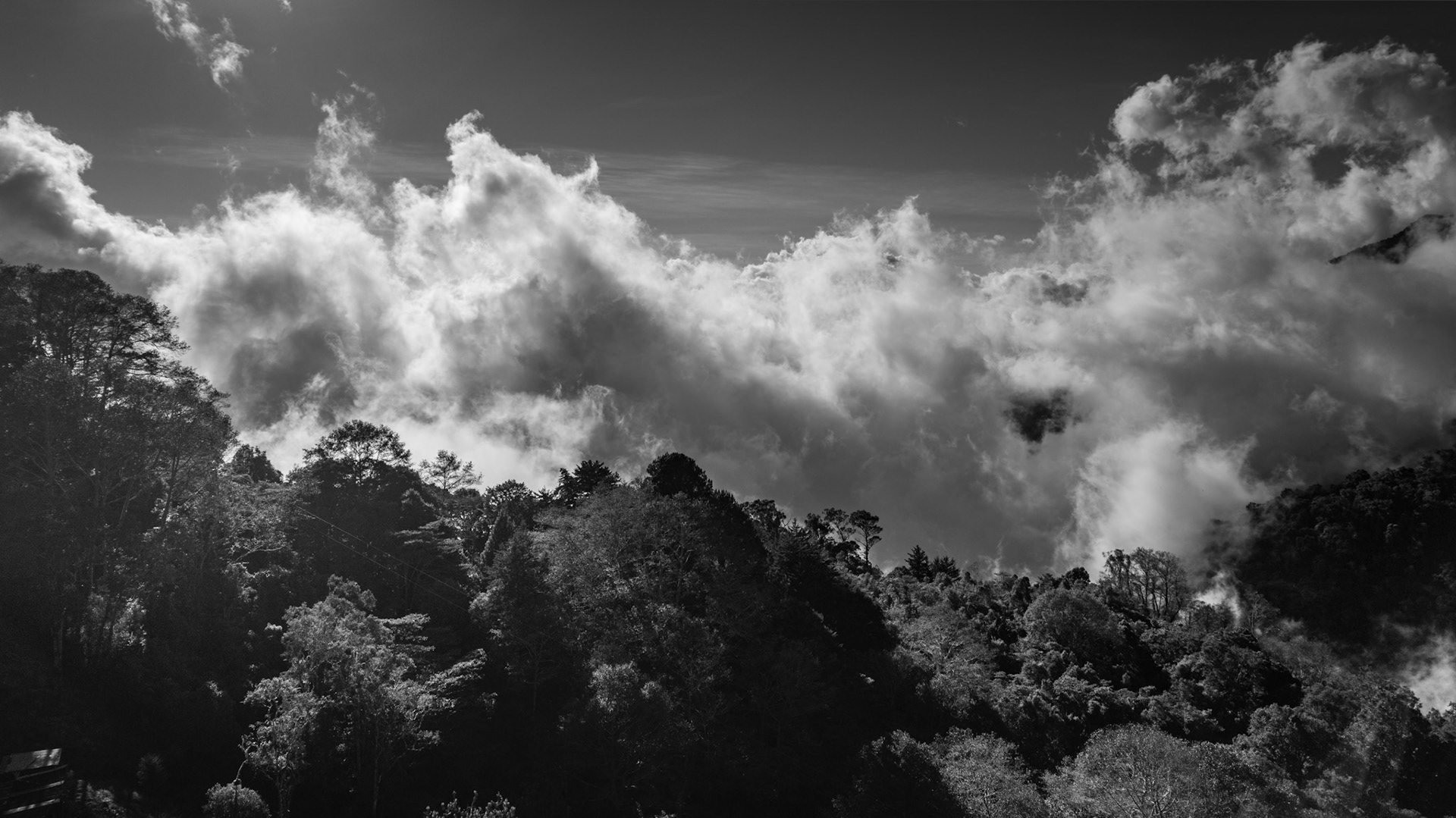 Cloud Forest | Pérez Zeledón, Costa Rica
