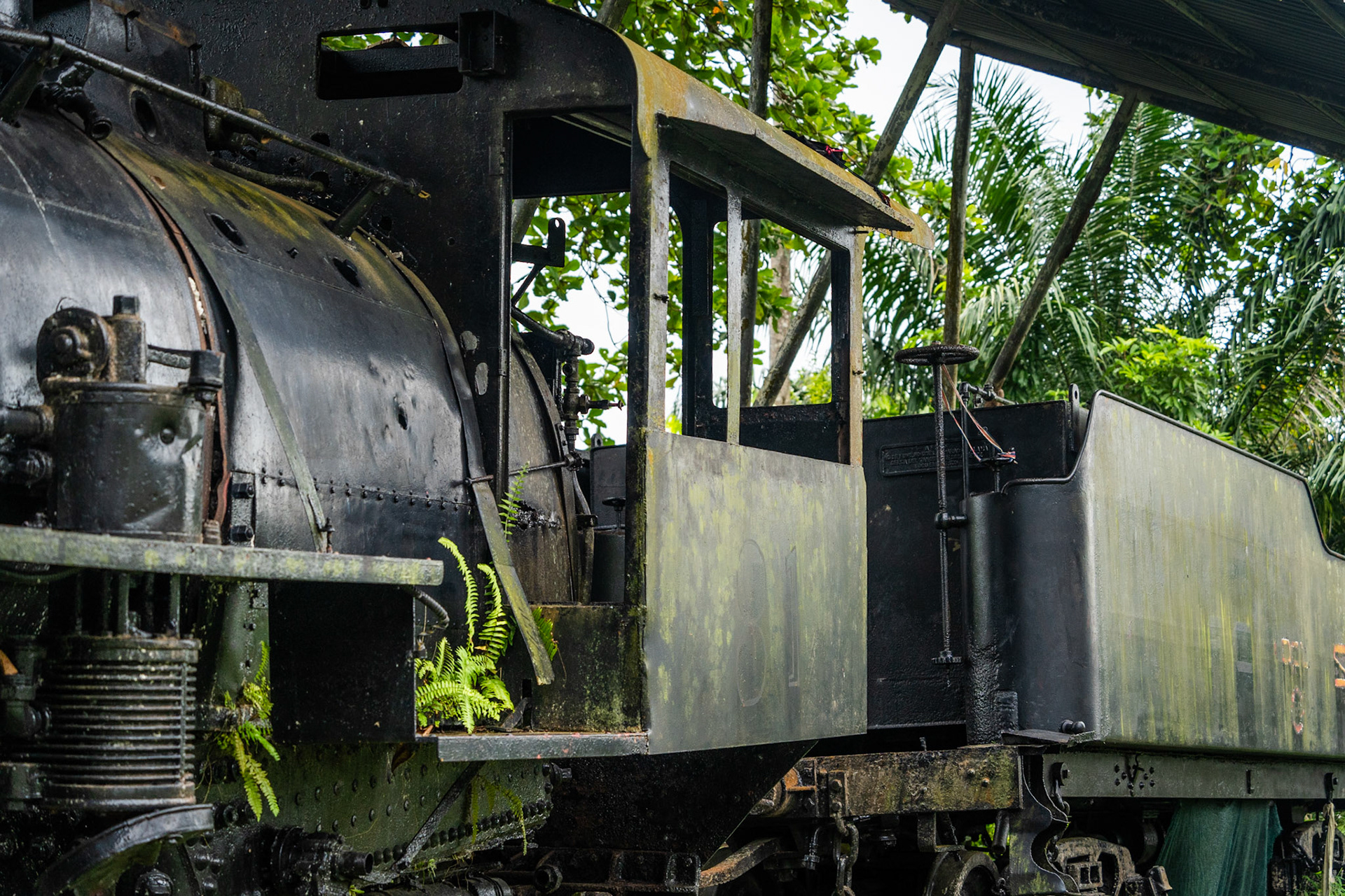 Abandoned Locomotive | Golfito, Puntarenas