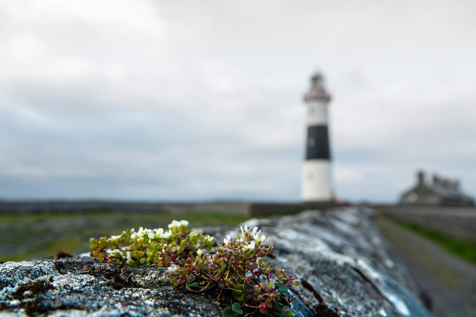 Inis Oírr | Aran Islands, Co. Galway