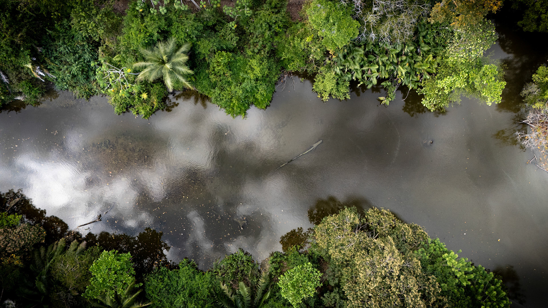 Río Plantanares | Osa Peninsula, Costa Rica
