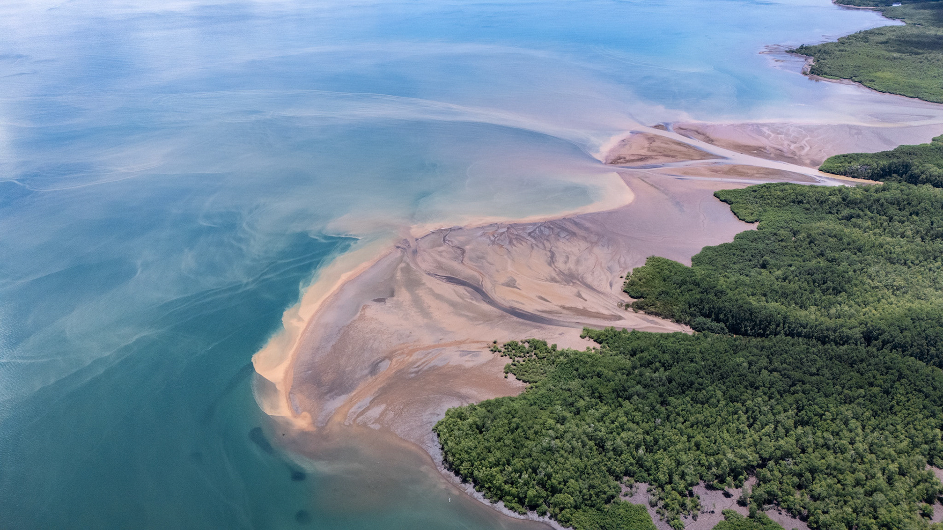 Rincón de Osa | Osa Peninsula, Costa Rica