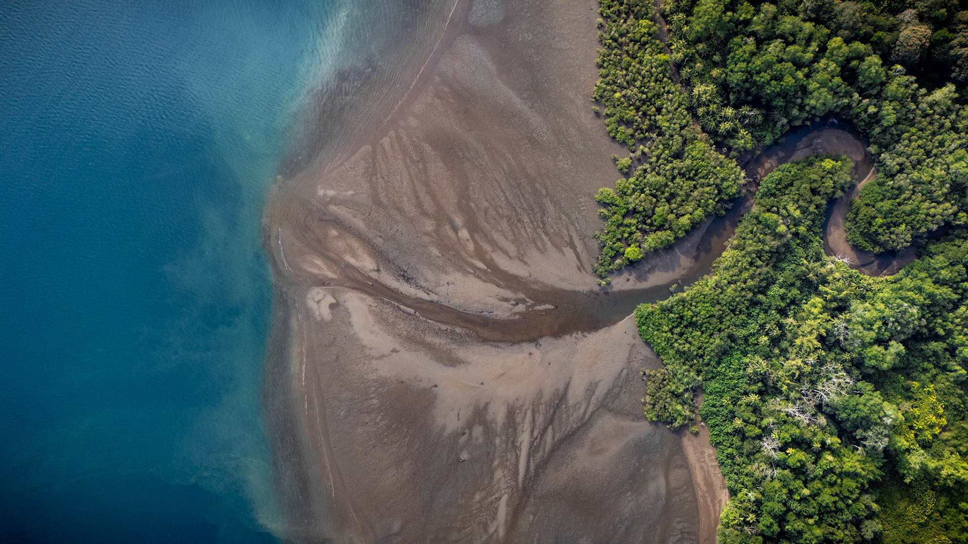Playa Juanito Mora | Osa Peninsula, Costa Rica