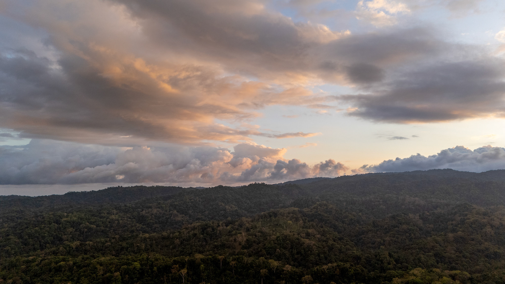 Corcovado National Park | Osa Peninsula, Costa Rica