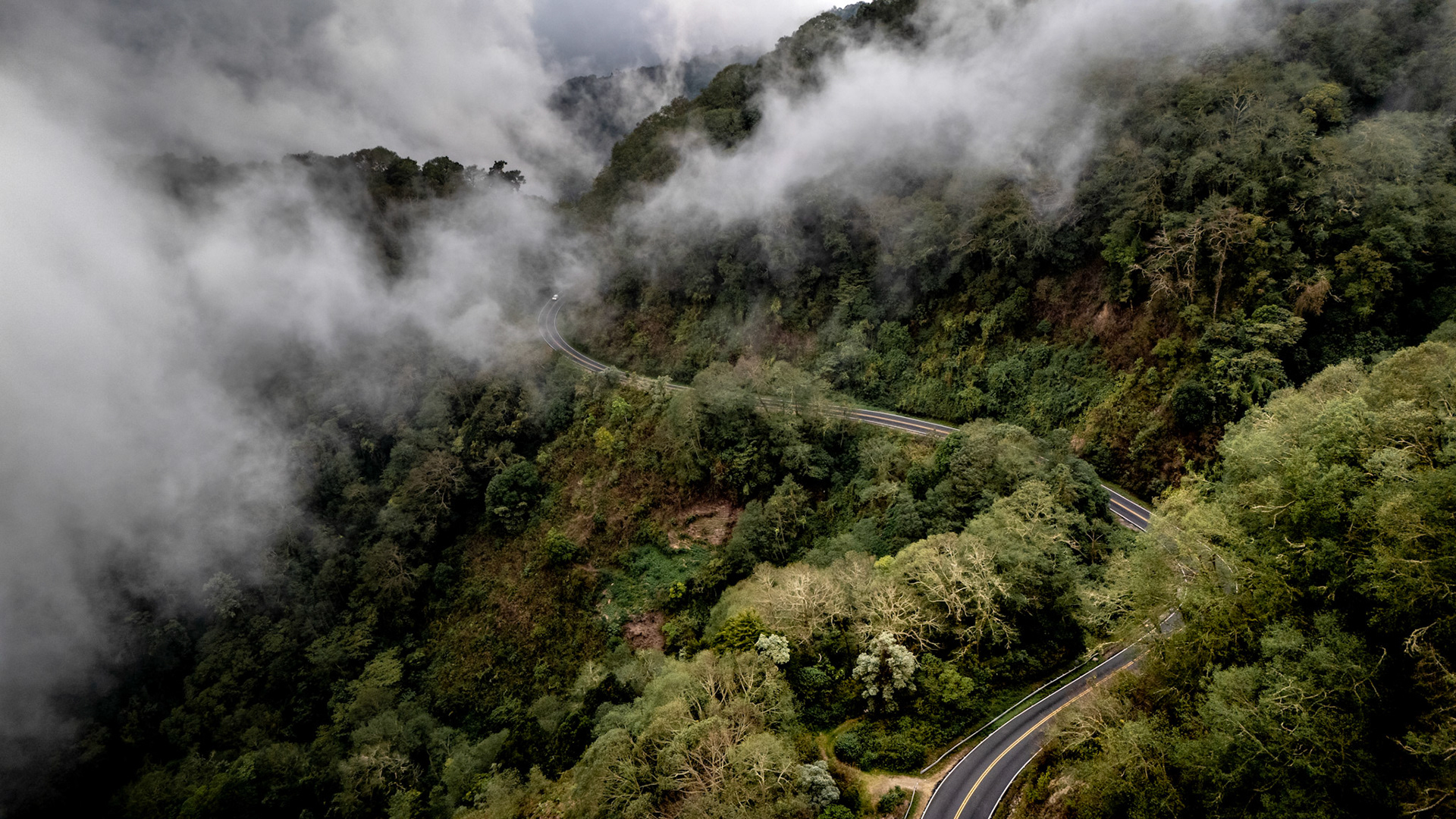 Tapantí National Park | Costa Rica