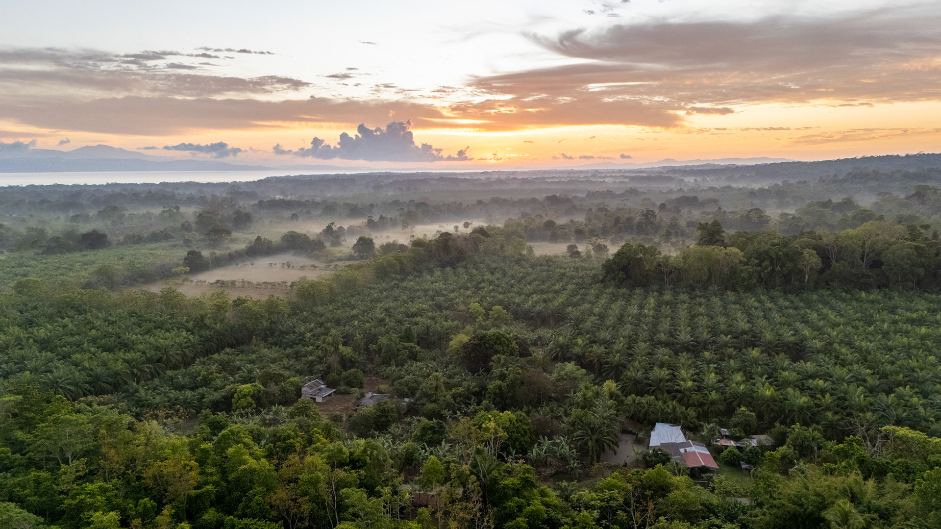 Osa Peninsula | Costa Rica