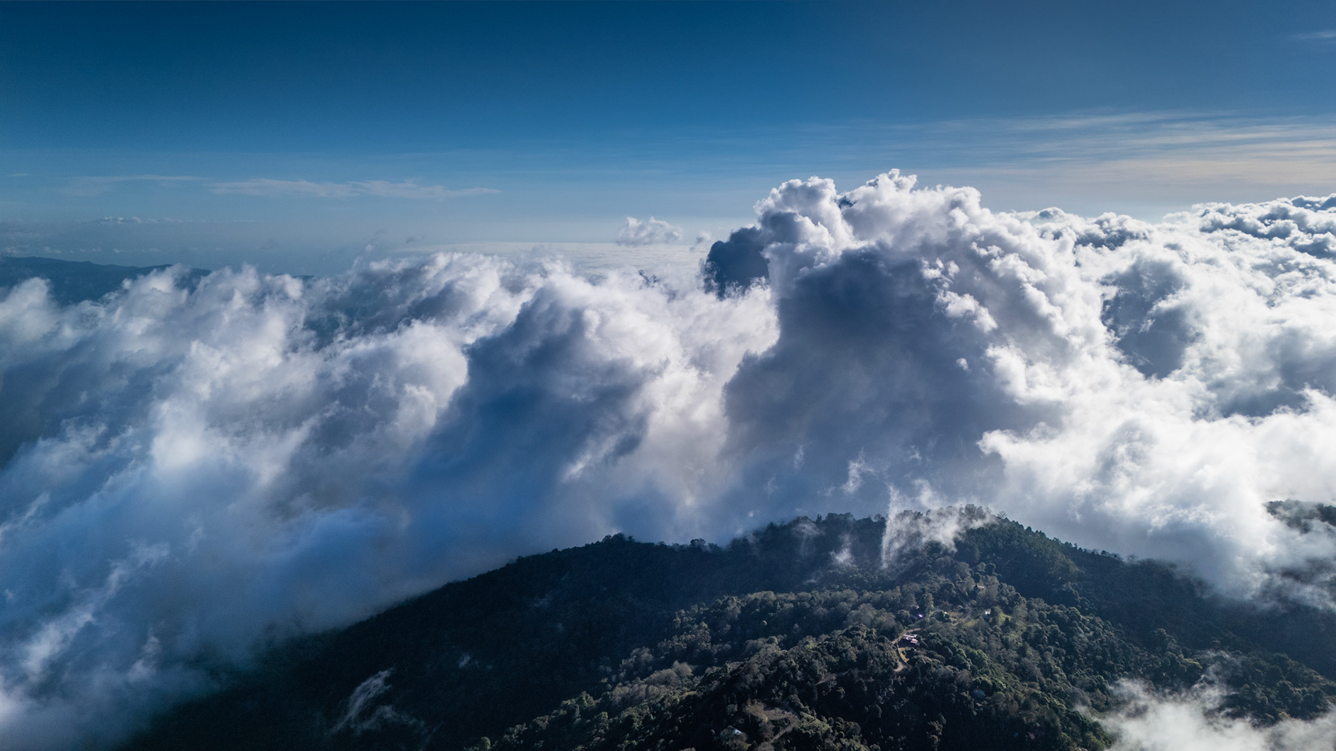 Cloud Forest | Pérez Zeledón, Costa Rica