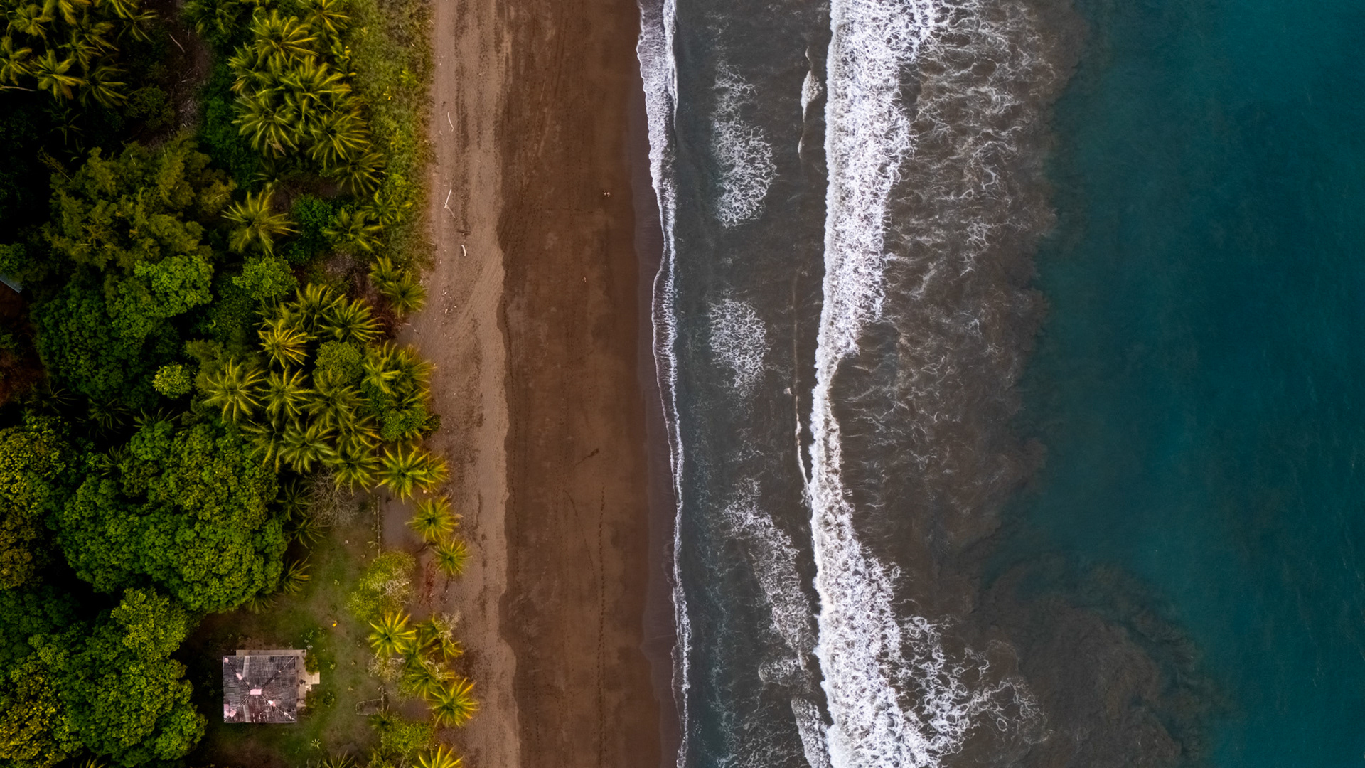 Playa Rincón de San Josecito | Osa Peninsula, Costa Rica