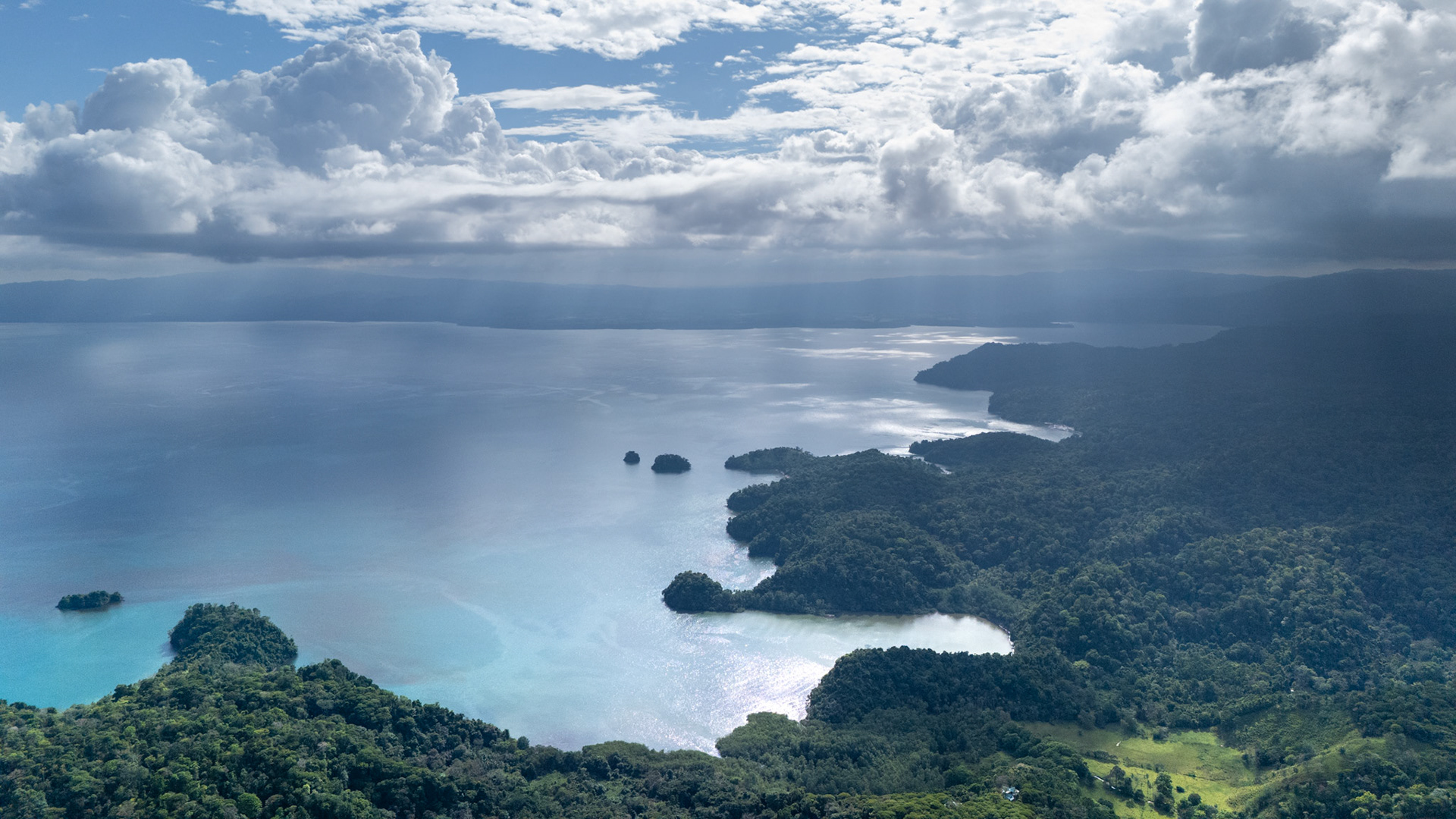 Mogos | Osa Peninsula, Costa Rica