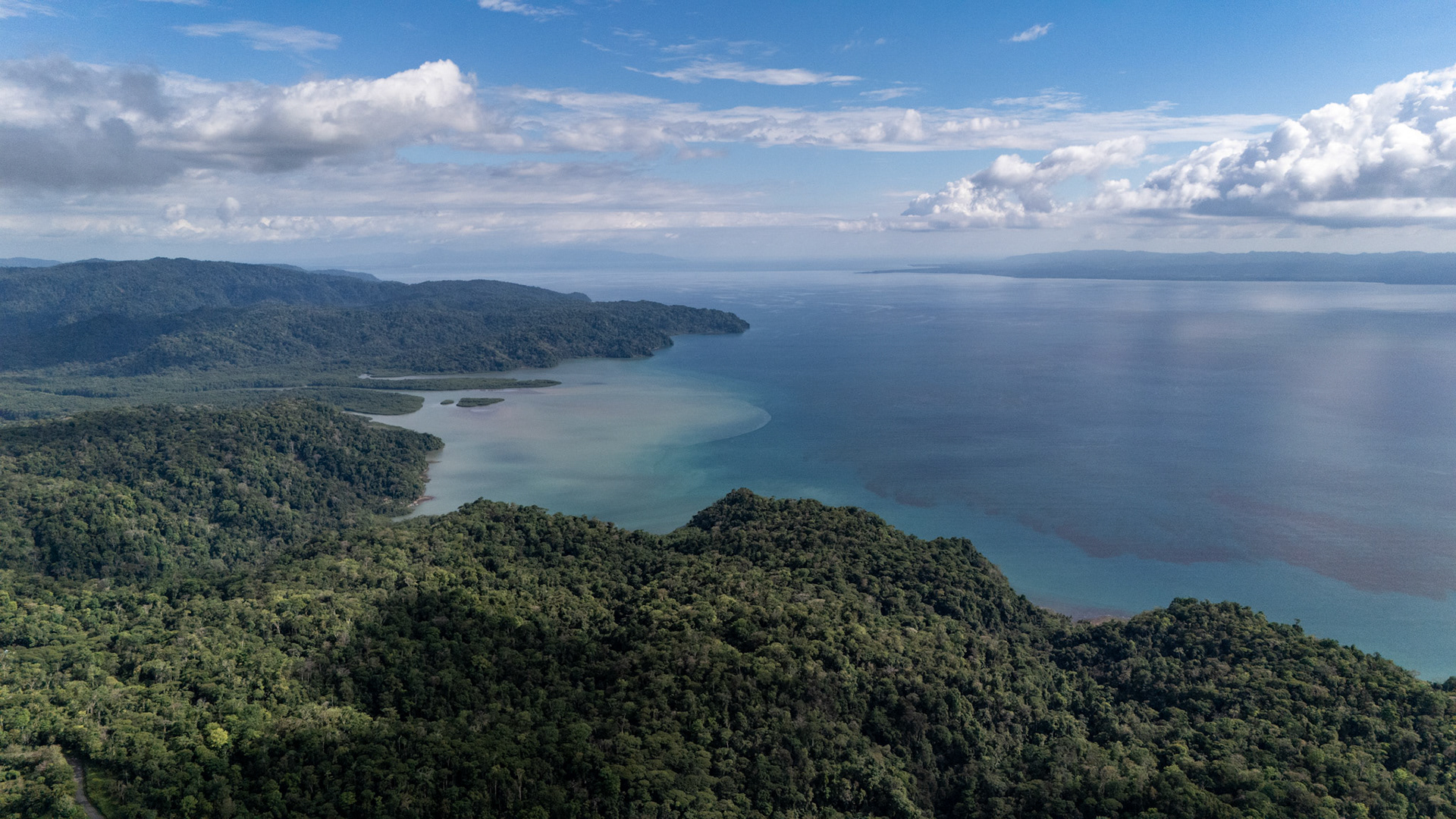 Mogos | Osa Peninsula, Costa Rica